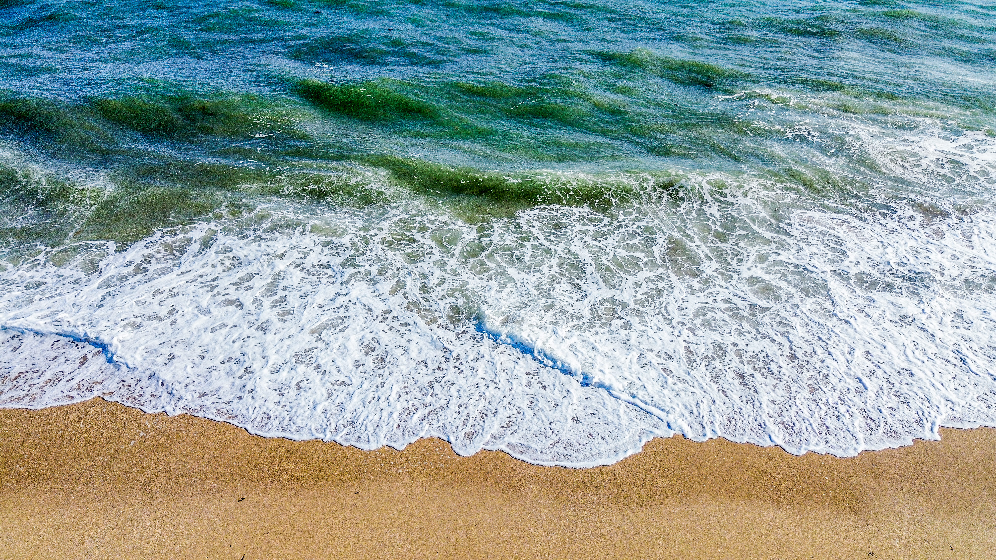 Rocky point beach top